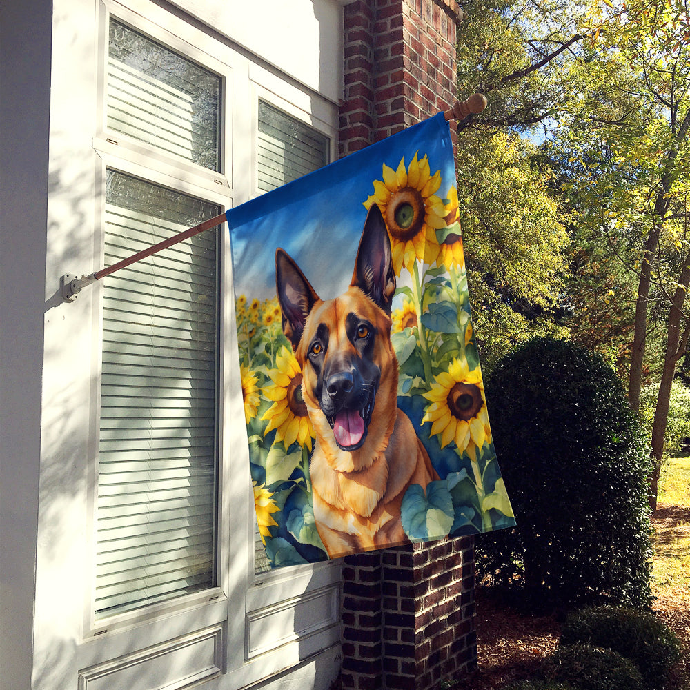 Belgian Malinois in Sunflowers House Flag