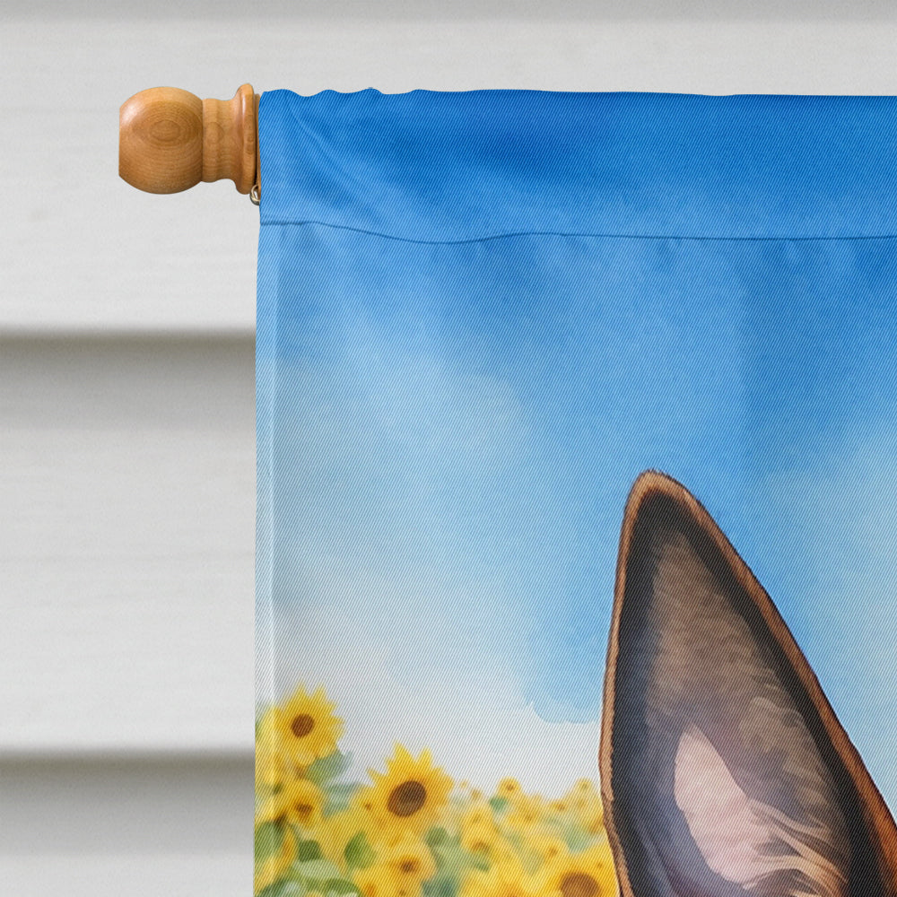 Belgian Malinois in Sunflowers House Flag