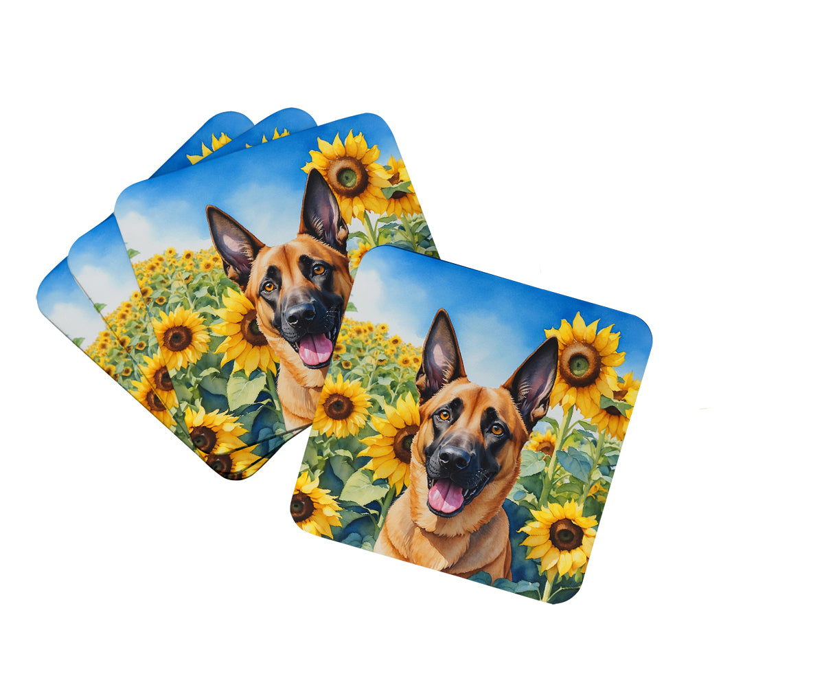 Buy this Belgian Malinois in Sunflowers Foam Coasters