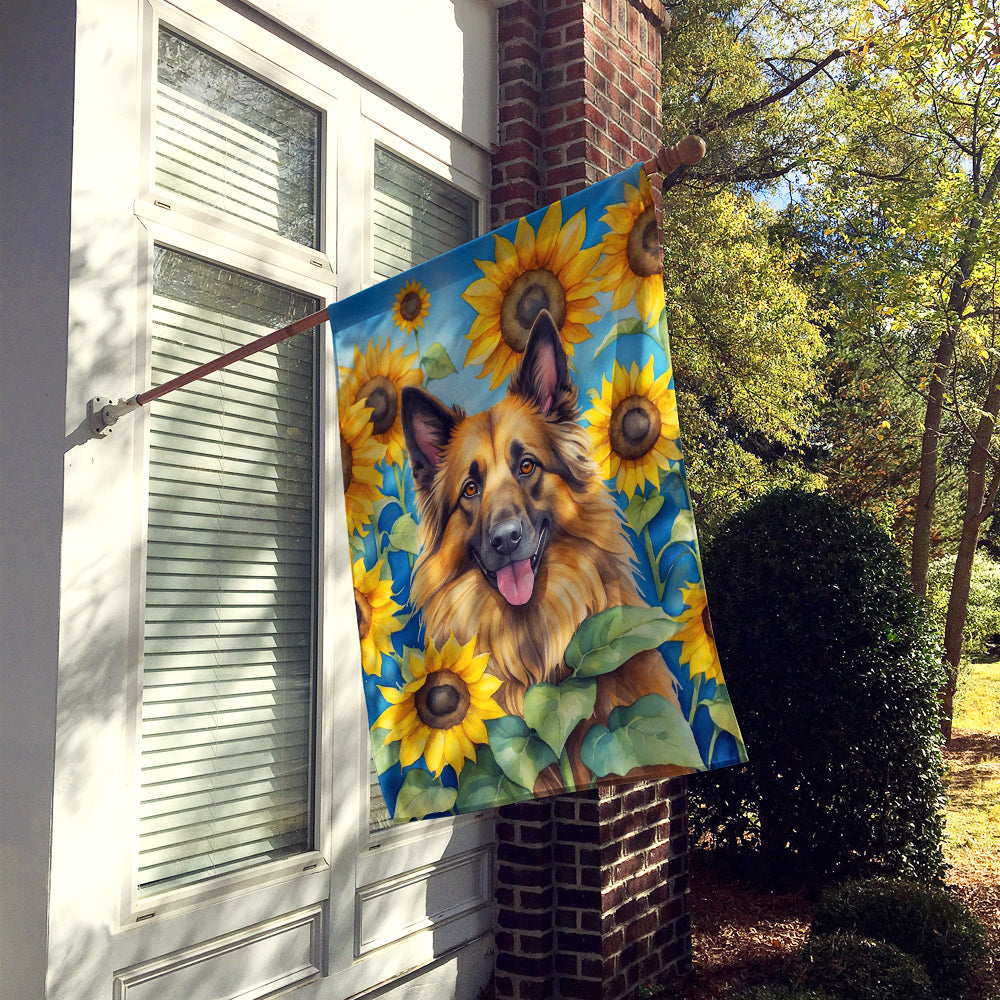 Belgian Tervuren in Sunflowers House Flag