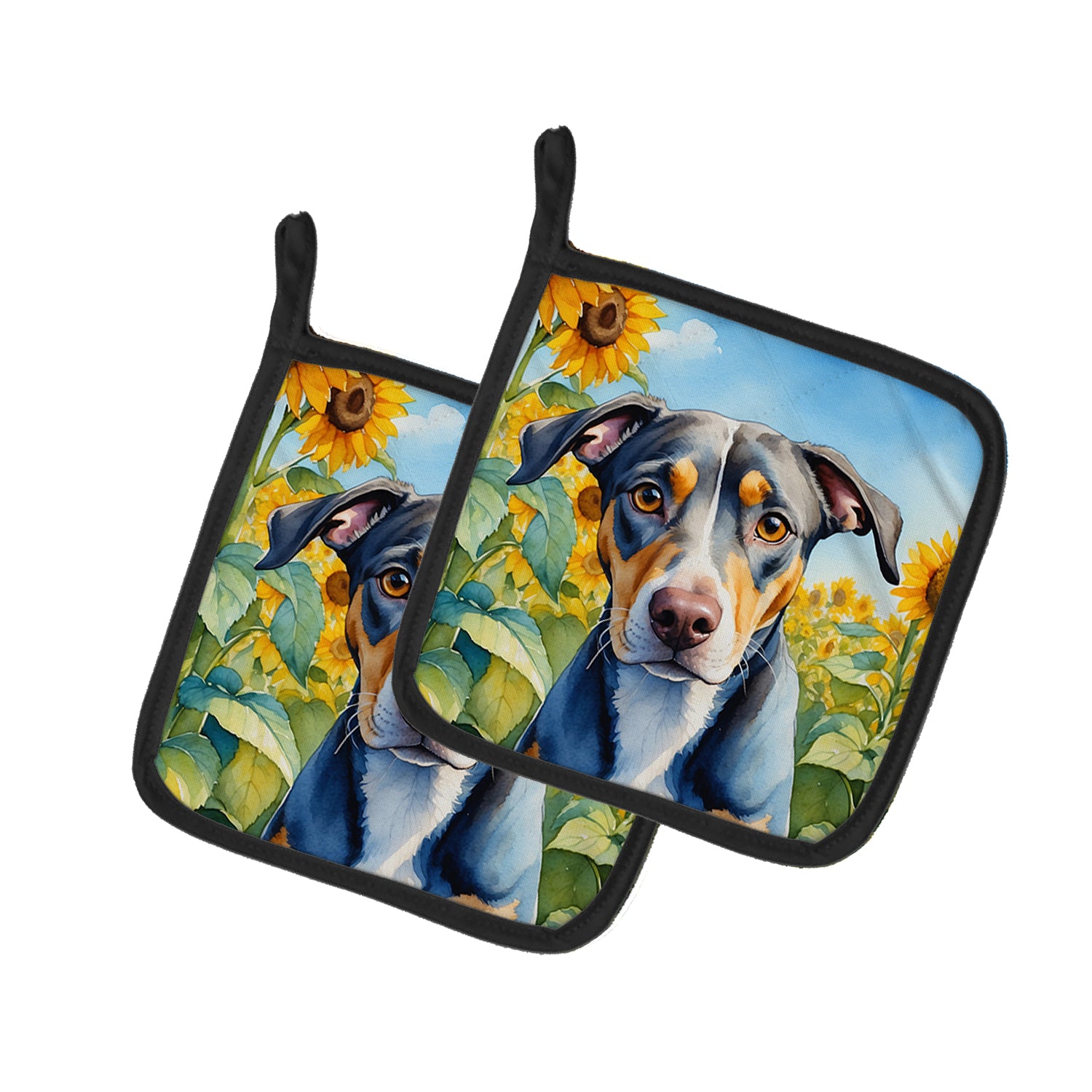 Buy this Catahoula in Sunflowers Pair of Pot Holders