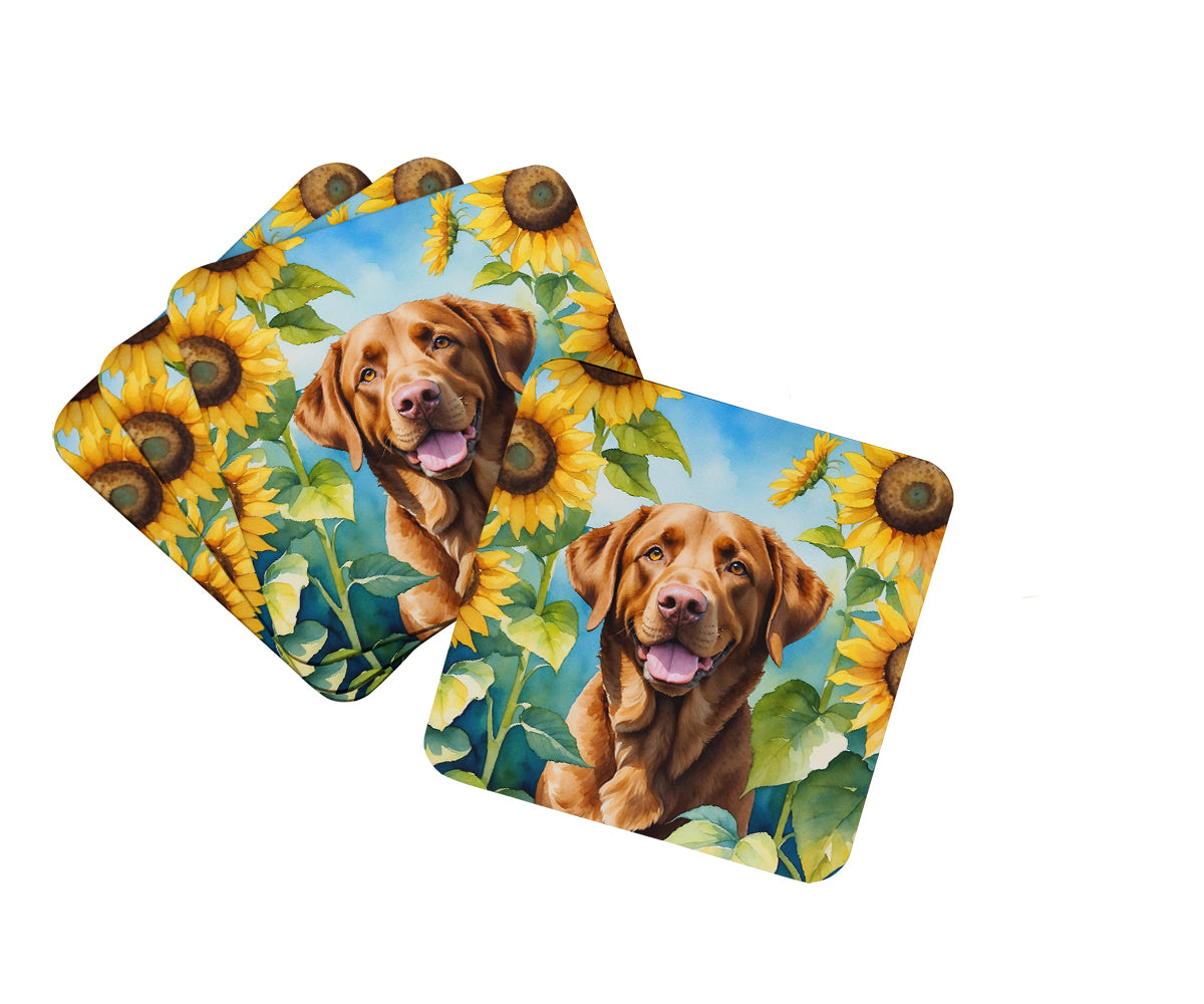 Buy this Chesapeake Bay Retriever in Sunflowers Foam Coasters