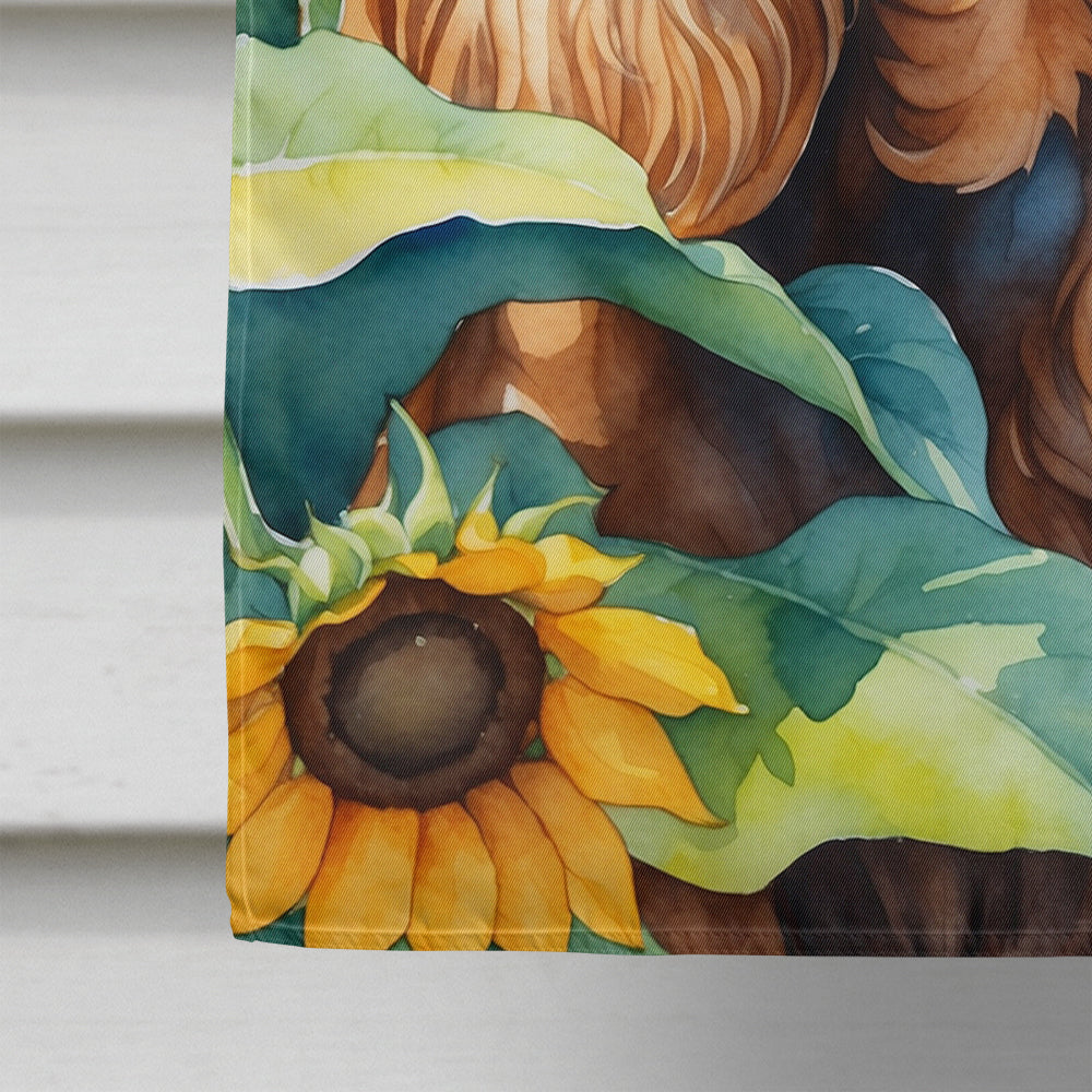 Cocker Spaniel in Sunflowers House Flag