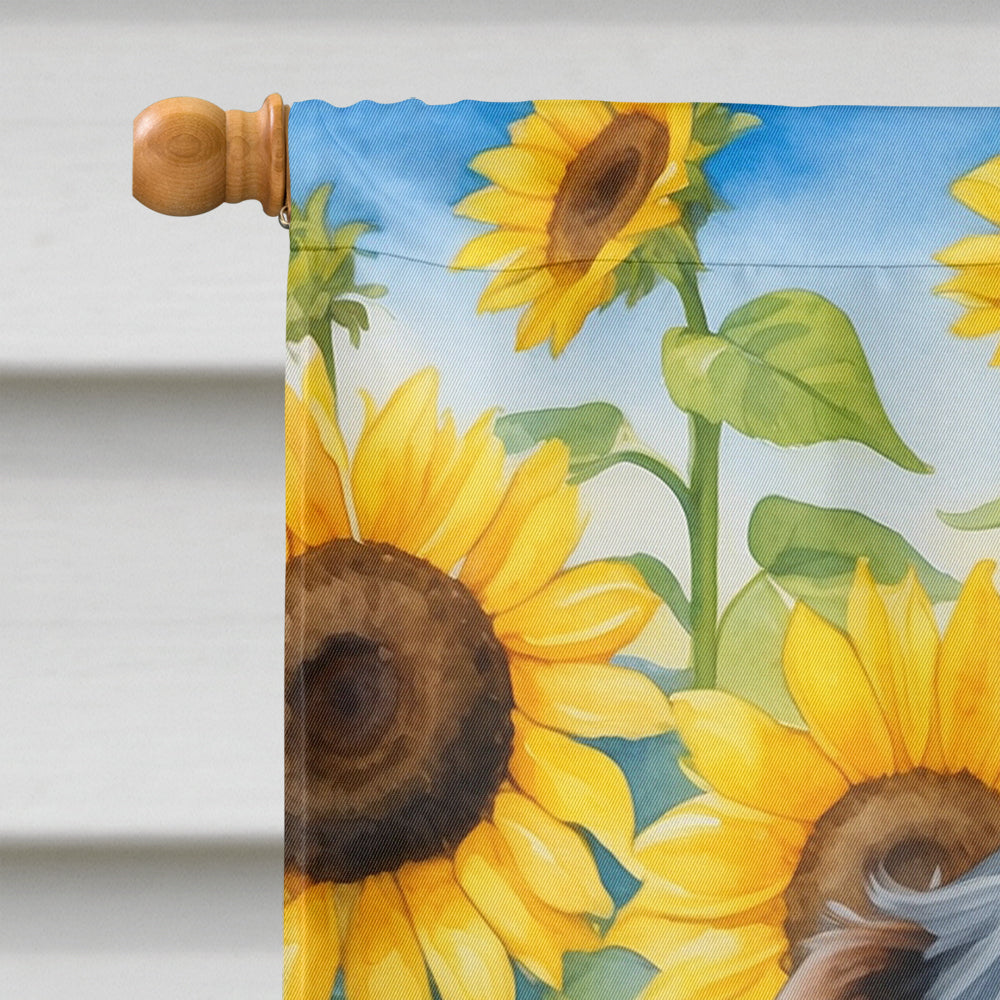 German Wirehaired Pointer in Sunflowers House Flag