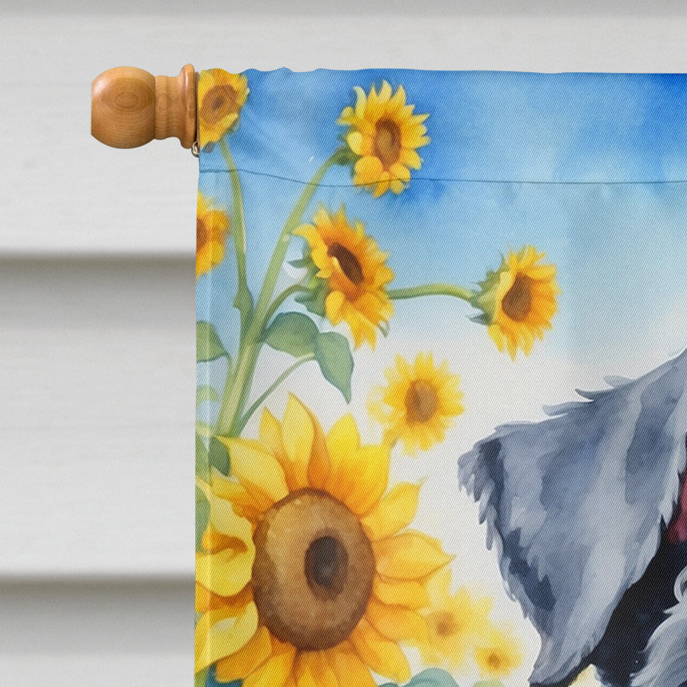 Kerry Blue Terrier in Sunflowers House Flag