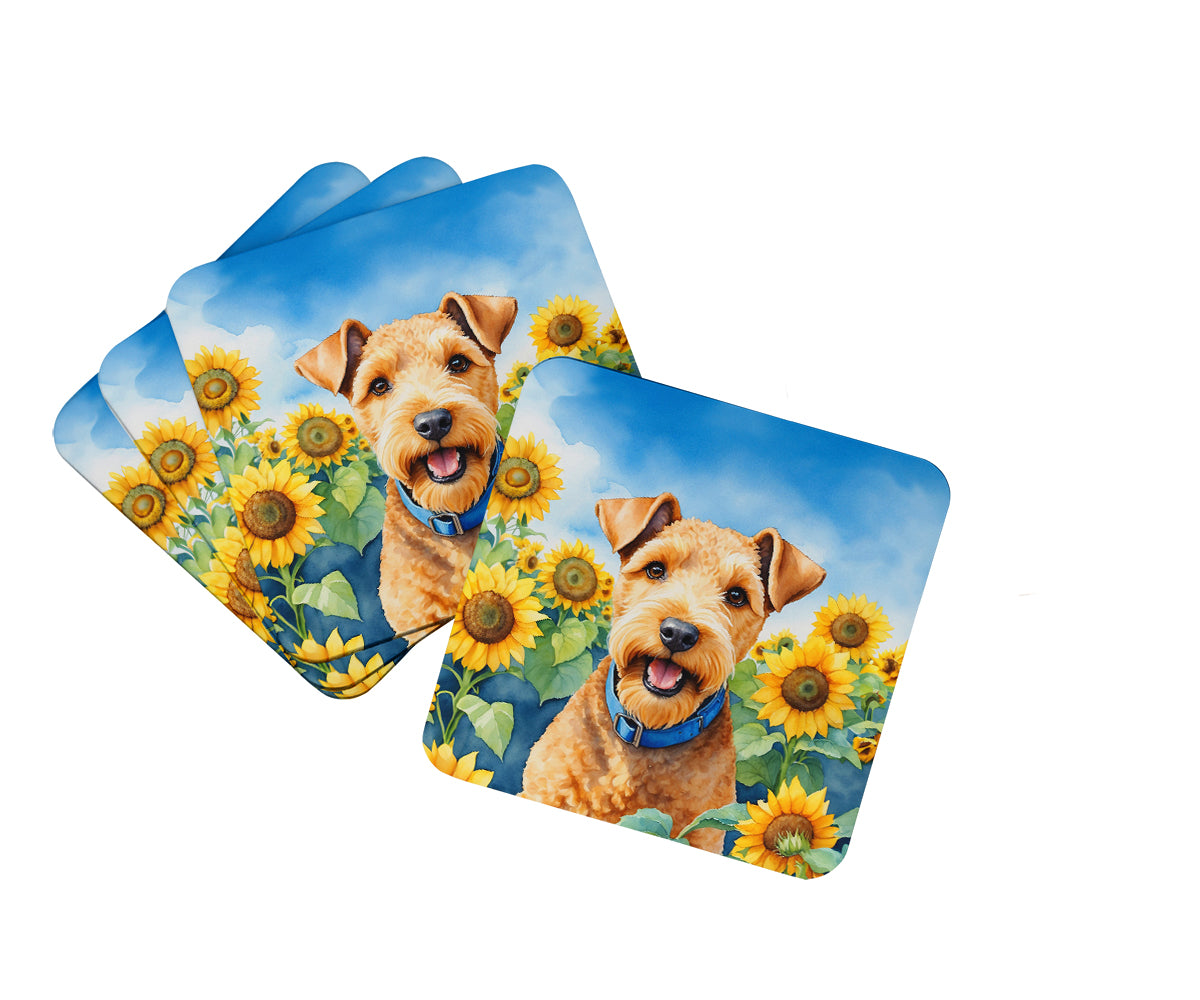 Buy this Lakeland Terrier in Sunflowers Foam Coasters