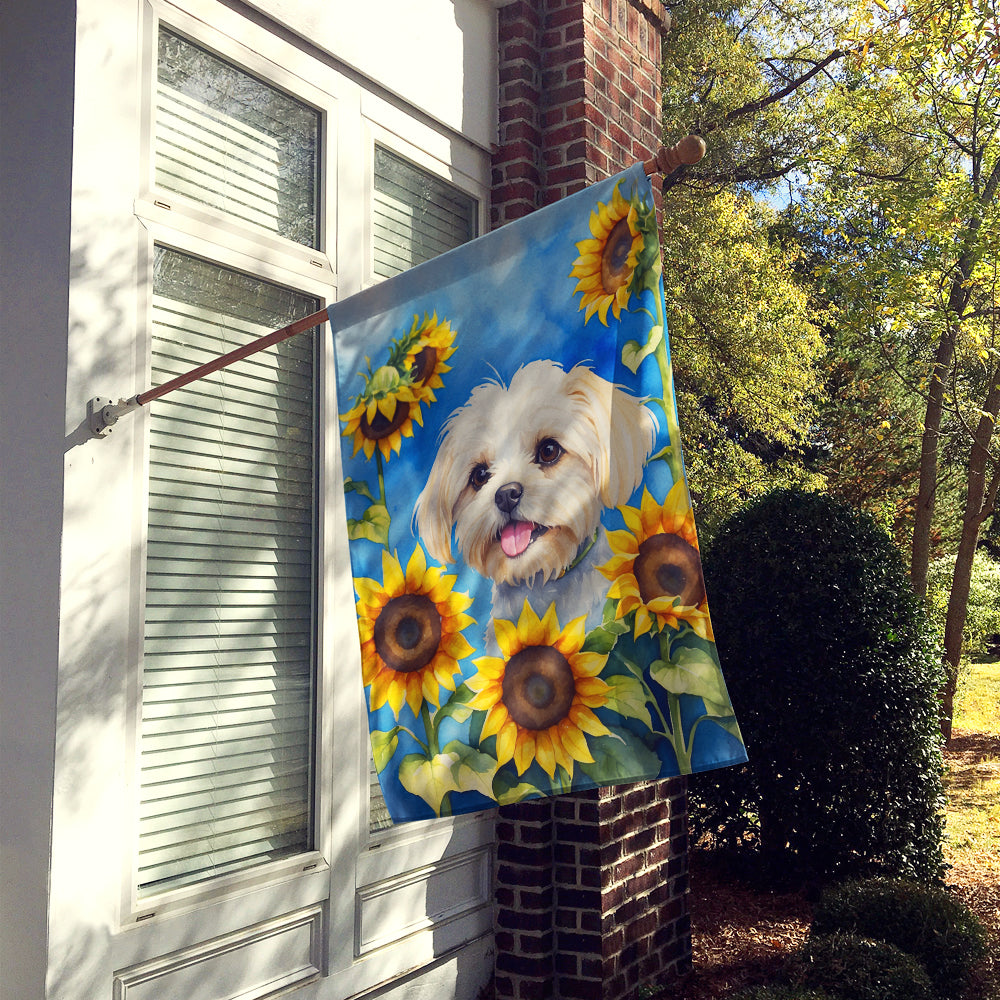 Buy this Maltese in Sunflowers House Flag