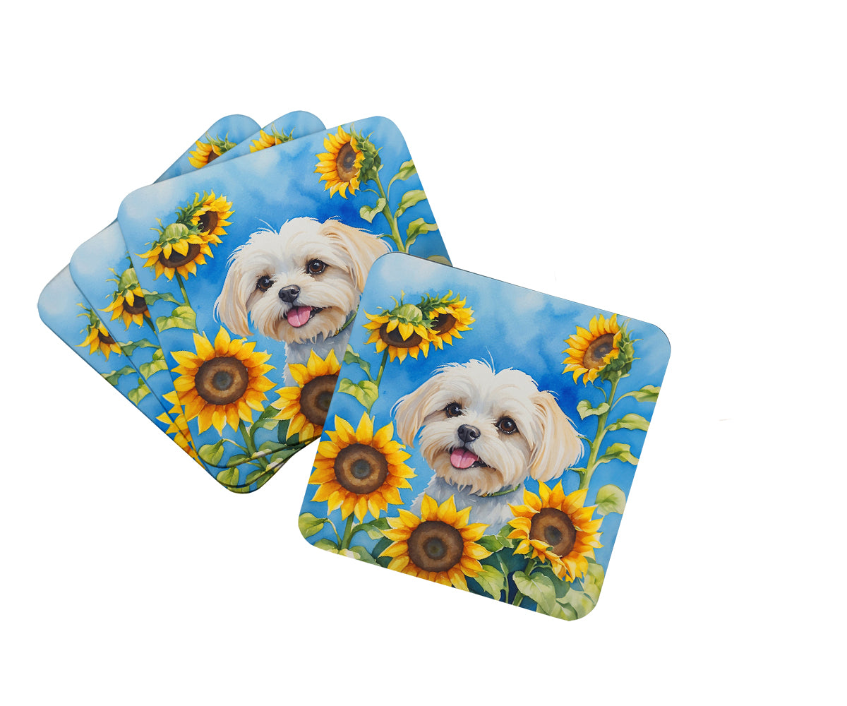 Buy this Maltese in Sunflowers Foam Coasters