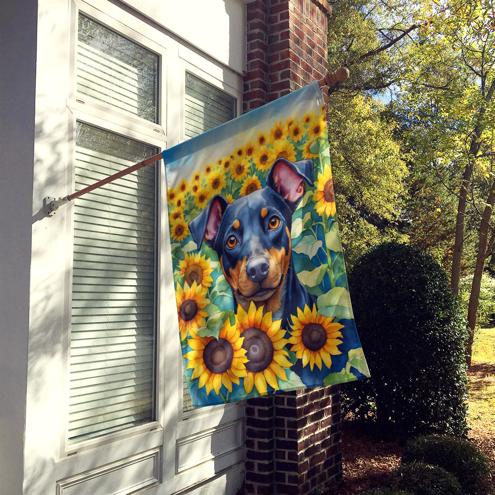 Buy this Manchester Terrier in Sunflowers House Flag