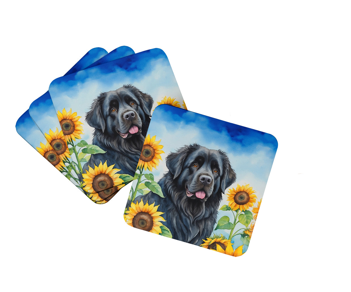 Buy this Newfoundland in Sunflowers Foam Coasters