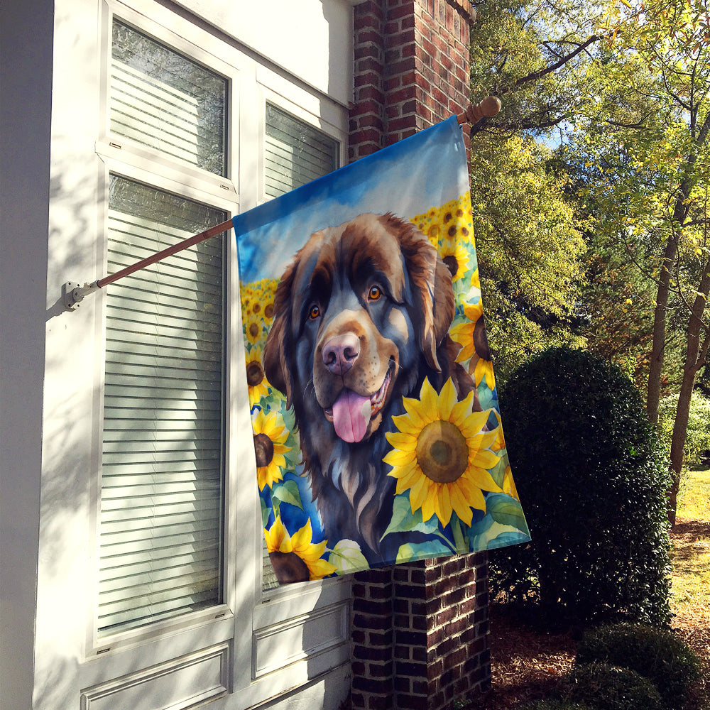 Buy this Newfoundland in Sunflowers House Flag