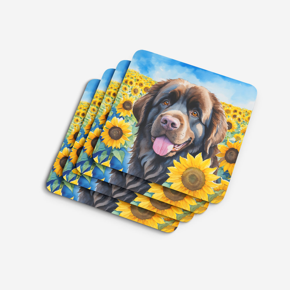 Newfoundland in Sunflowers Foam Coasters