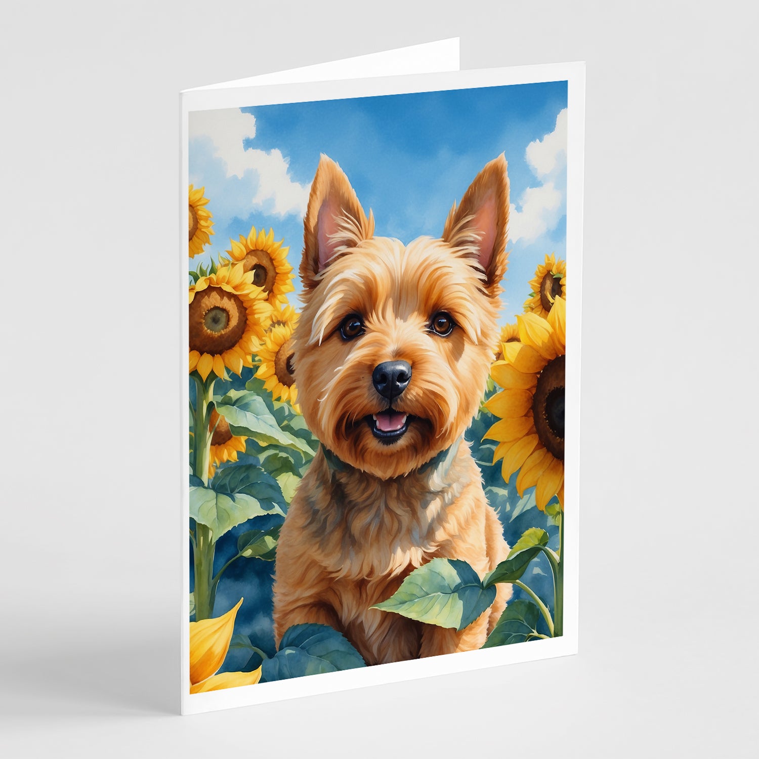 Buy this Norwich Terrier in Sunflowers Greeting Cards Pack of 8