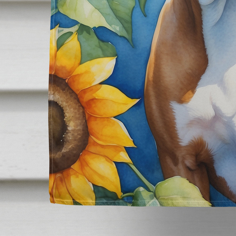 Pit Bull Terrier in Sunflowers House Flag