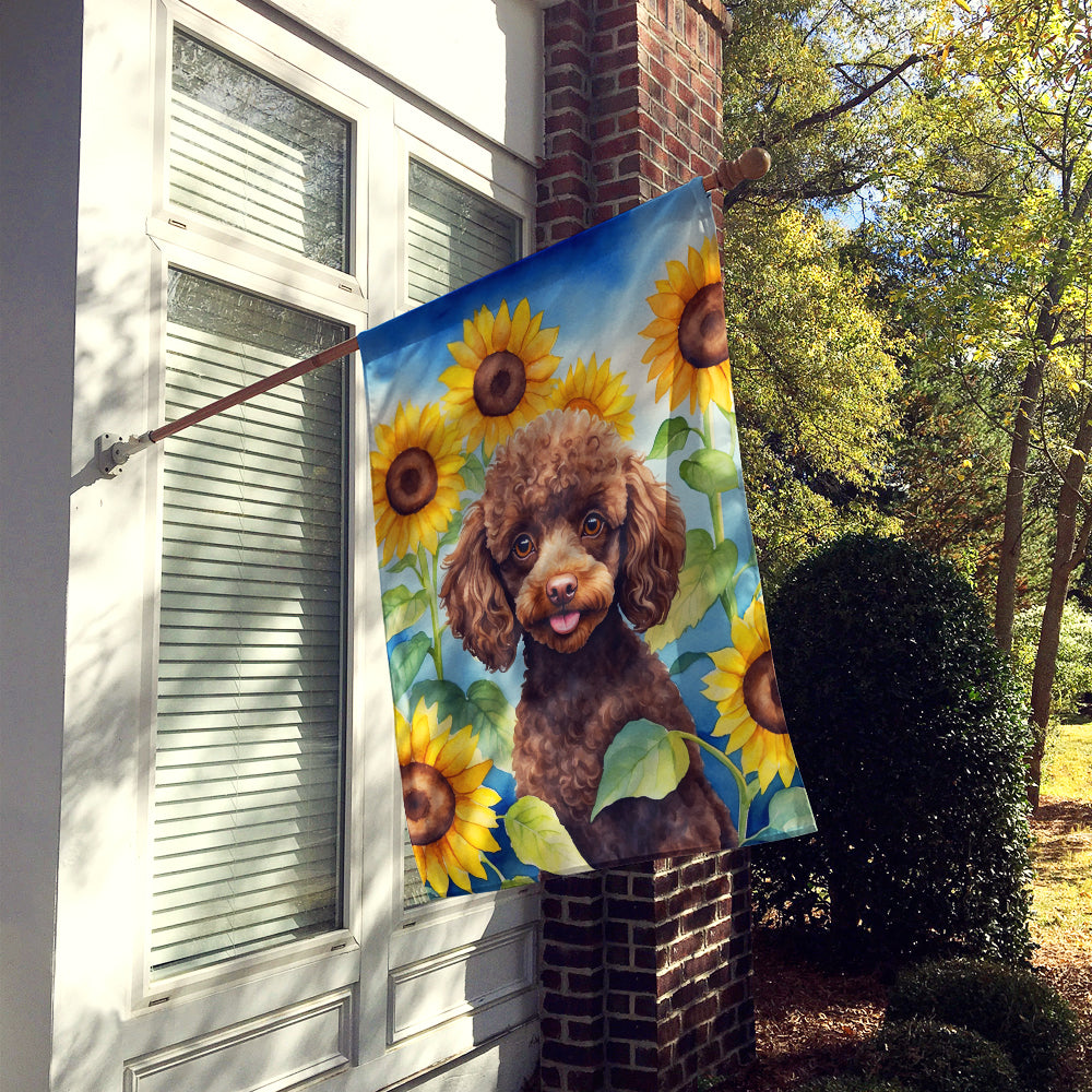 Buy this Chocolate Poodle in Sunflowers House Flag