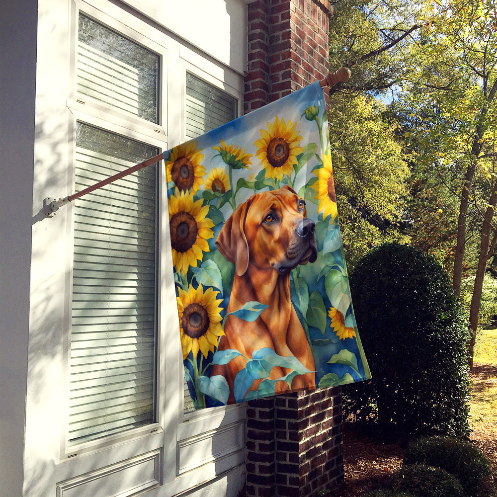 Buy this Rhodesian Ridgeback in Sunflowers House Flag