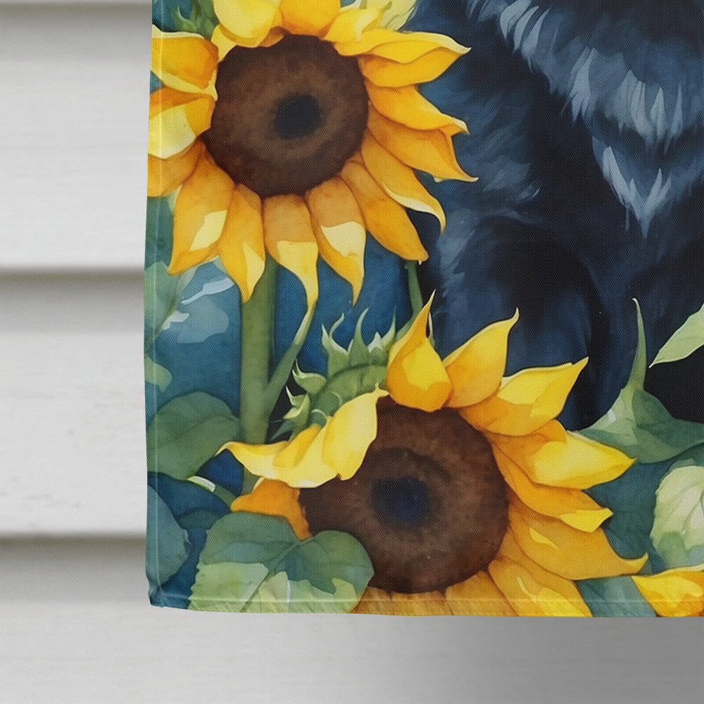 Schipperke in Sunflowers House Flag