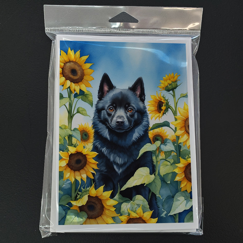 Schipperke in Sunflowers Greeting Cards Pack of 8