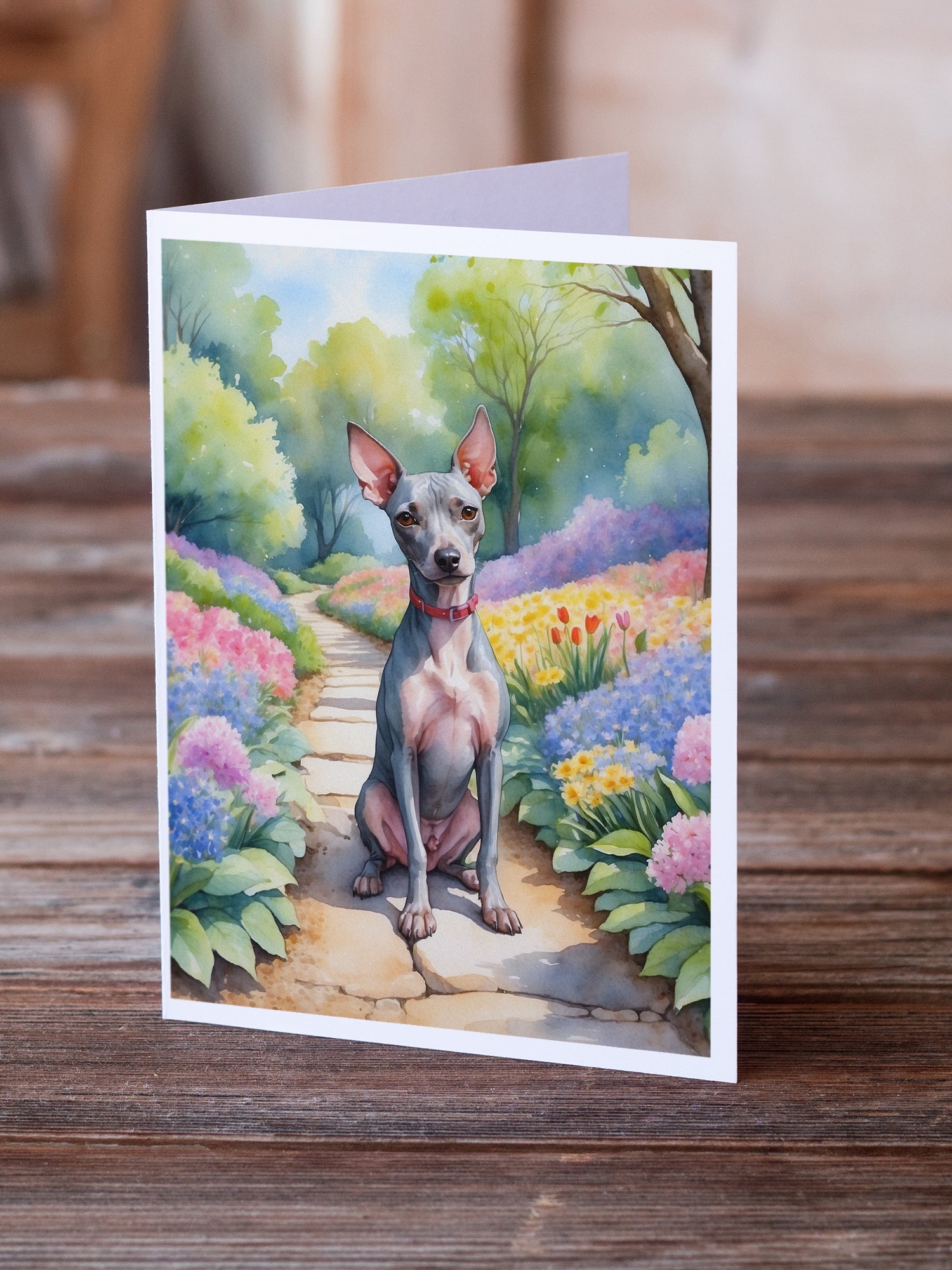 Buy this American Hairless Terrier Spring Garden Greeting Cards Pack of 8