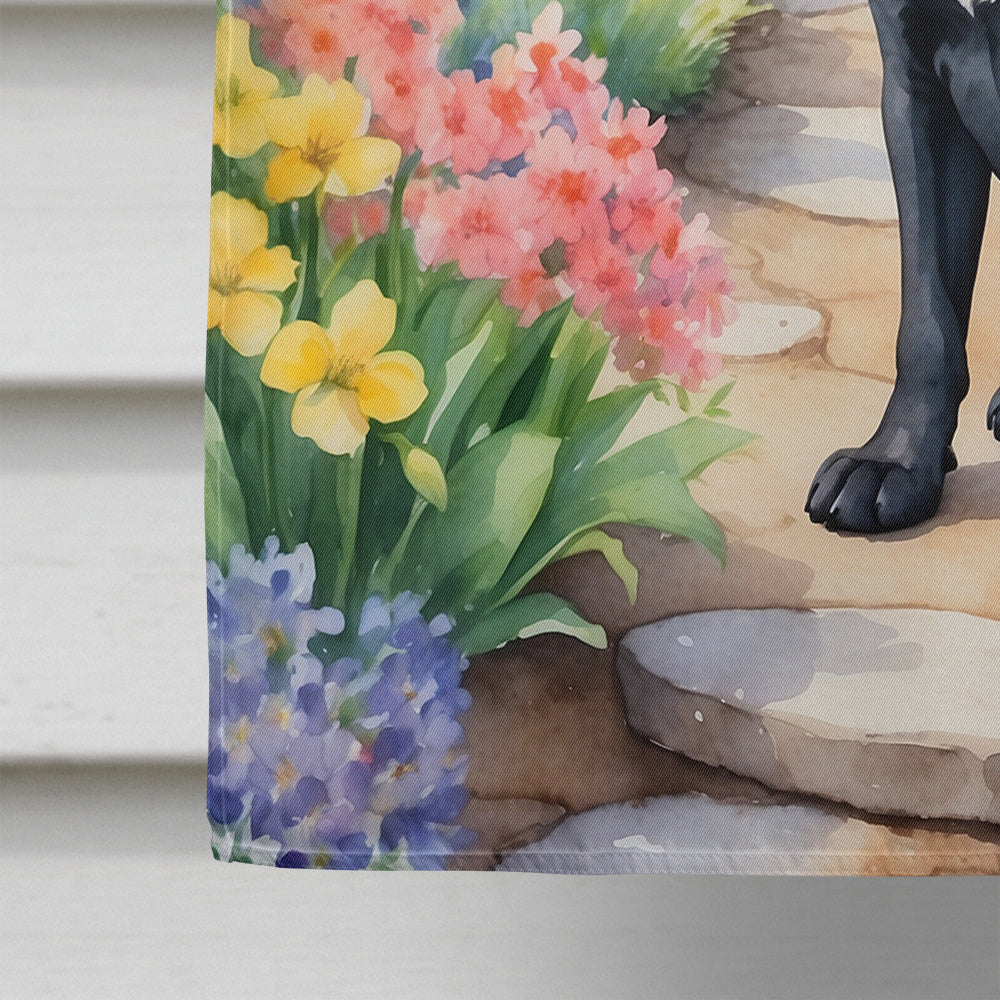 Cane Corso Spring Path House Flag