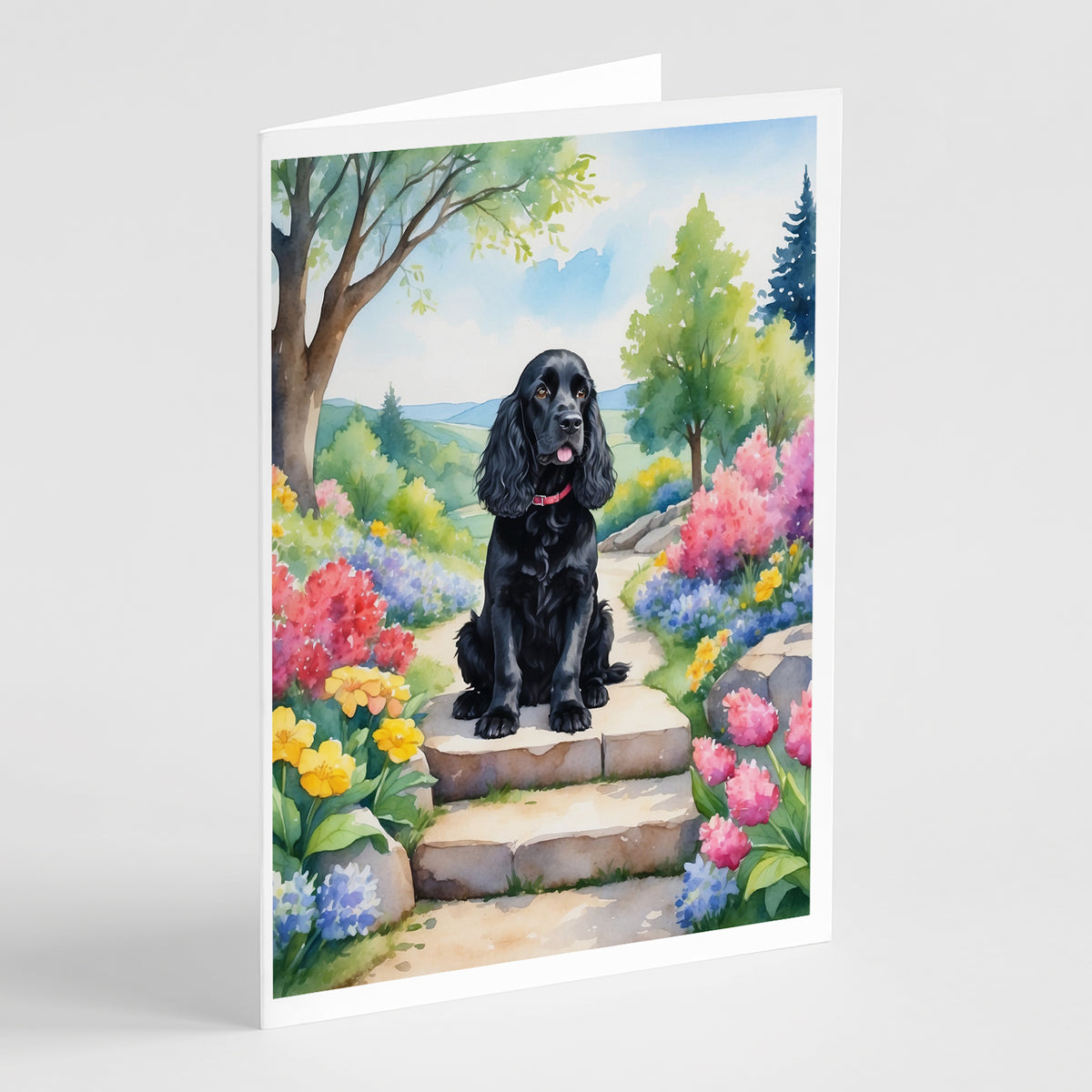 Buy this Cocker Spaniel Spring Path Greeting Cards Pack of 8