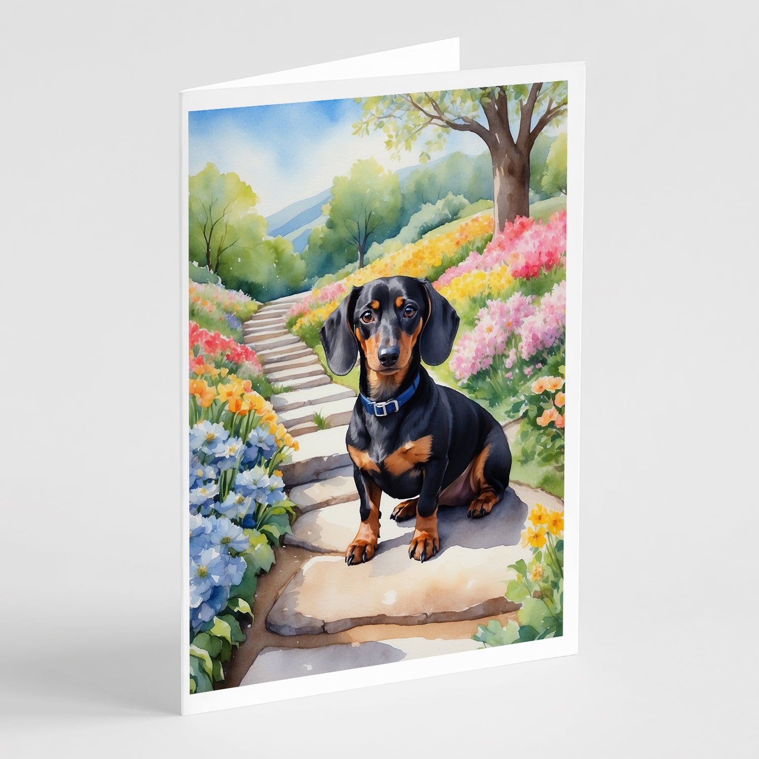 Buy this Dachshund Spring Path Greeting Cards Pack of 8