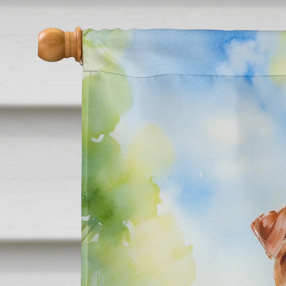 Irish Terrier Spring Path House Flag