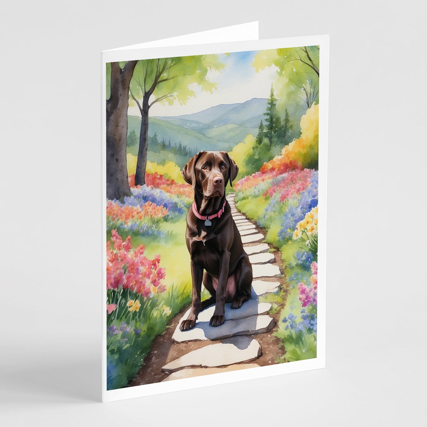 Buy this Labrador Retriever Spring Path Greeting Cards Pack of 8