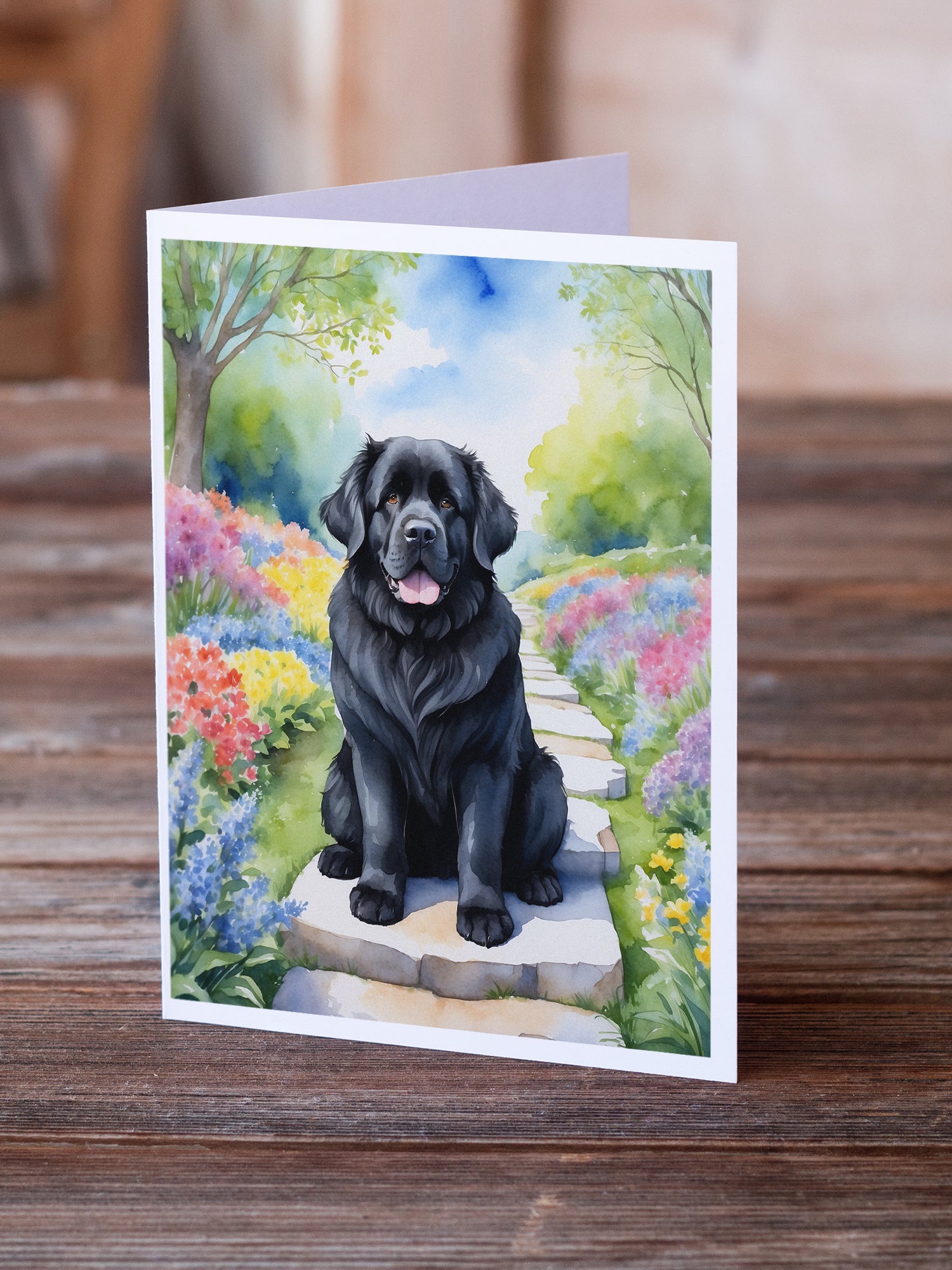 Newfoundland Spring Path Greeting Cards Pack of 8