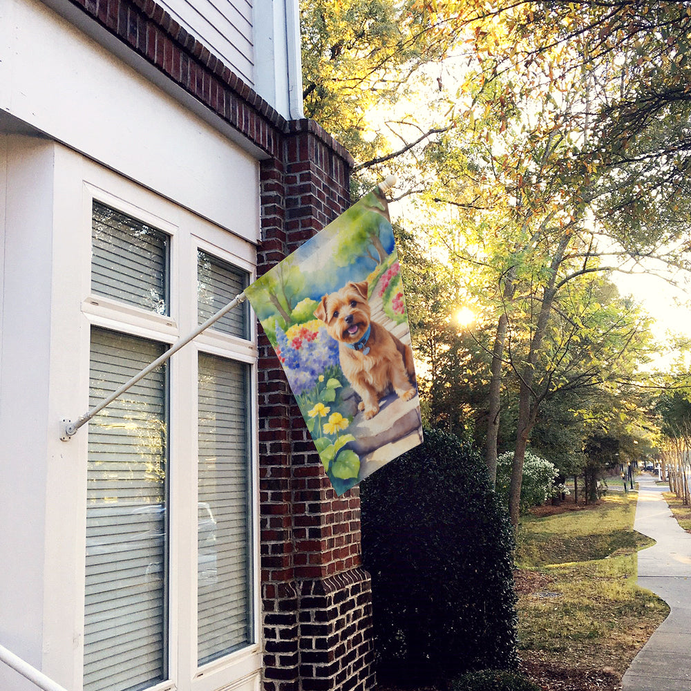 Buy this Norfolk Terrier Spring Path House Flag