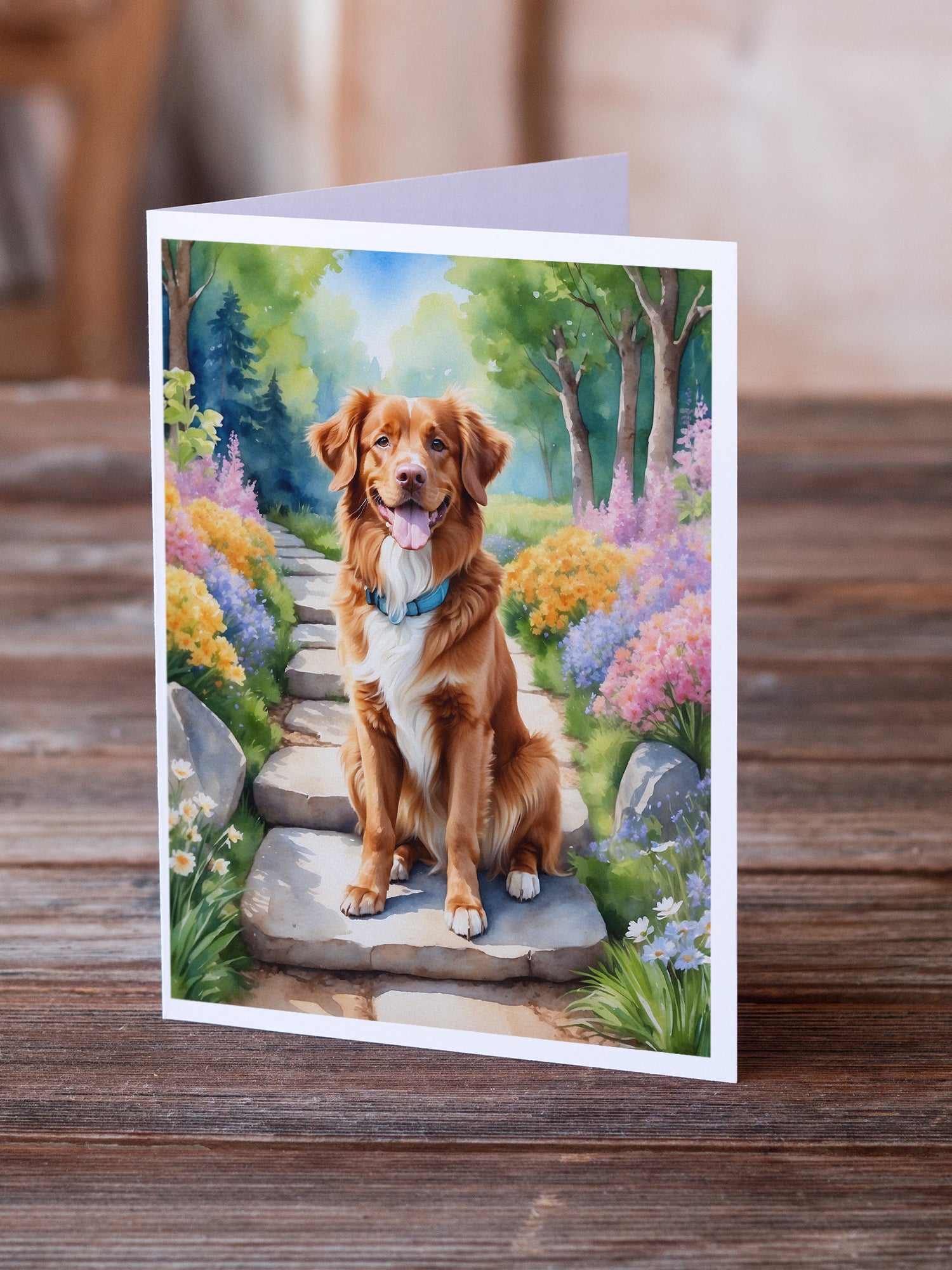 Nova Scotia Duck Tolling Retriever Spring Path Greeting Cards Pack of 8