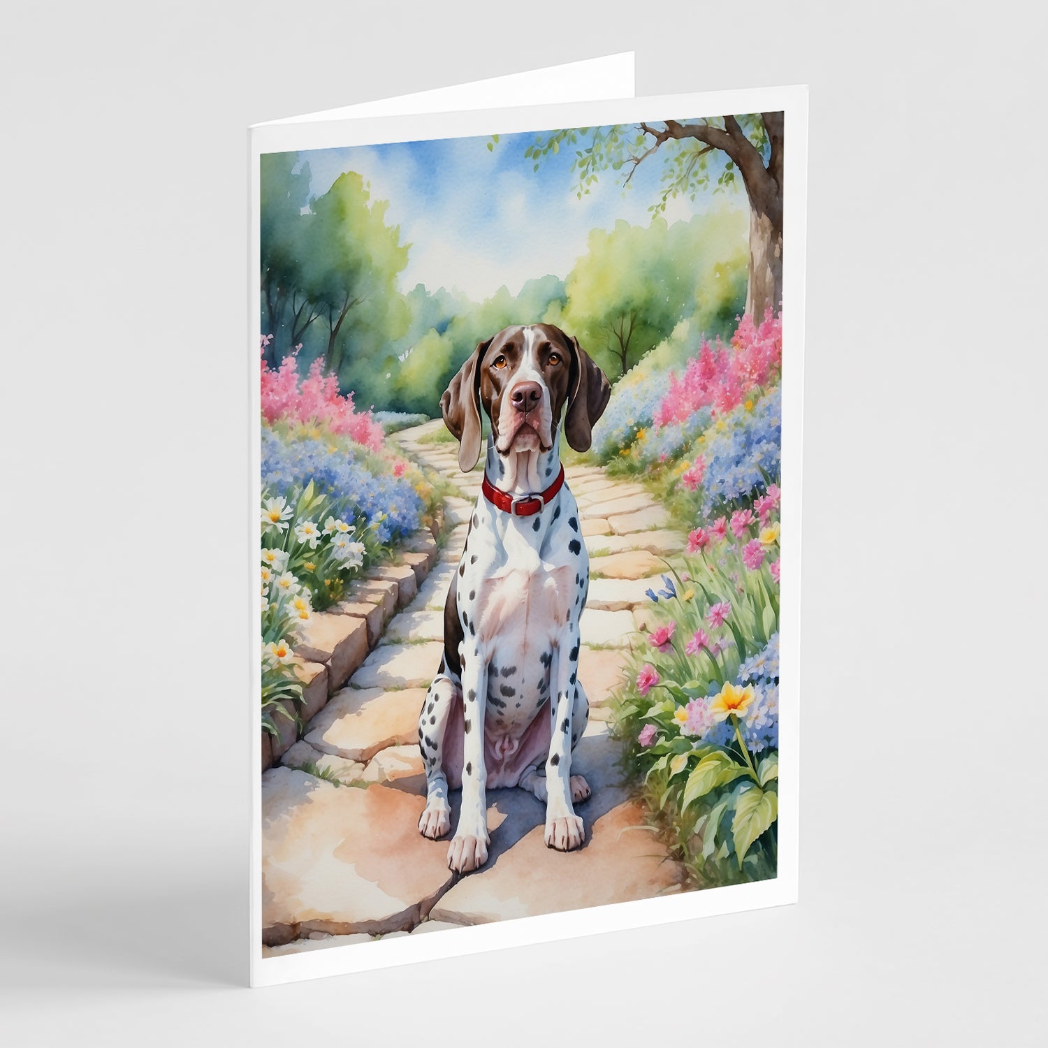 Buy this Pointer Spring Path Greeting Cards Pack of 8