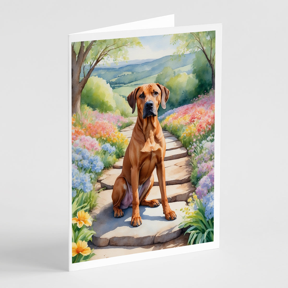 Buy this Rhodesian Ridgeback Spring Path Greeting Cards Pack of 8