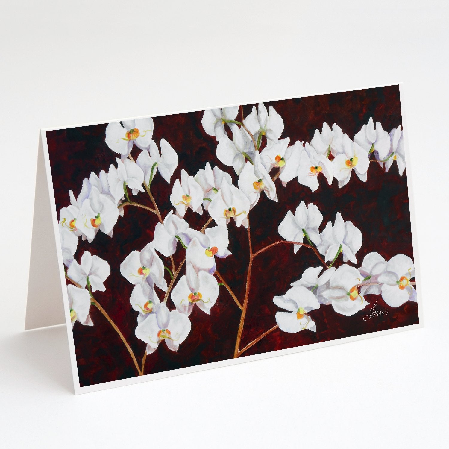 Buy this Orchids by Ferris Hotard Greeting Cards and Envelopes Pack of 8