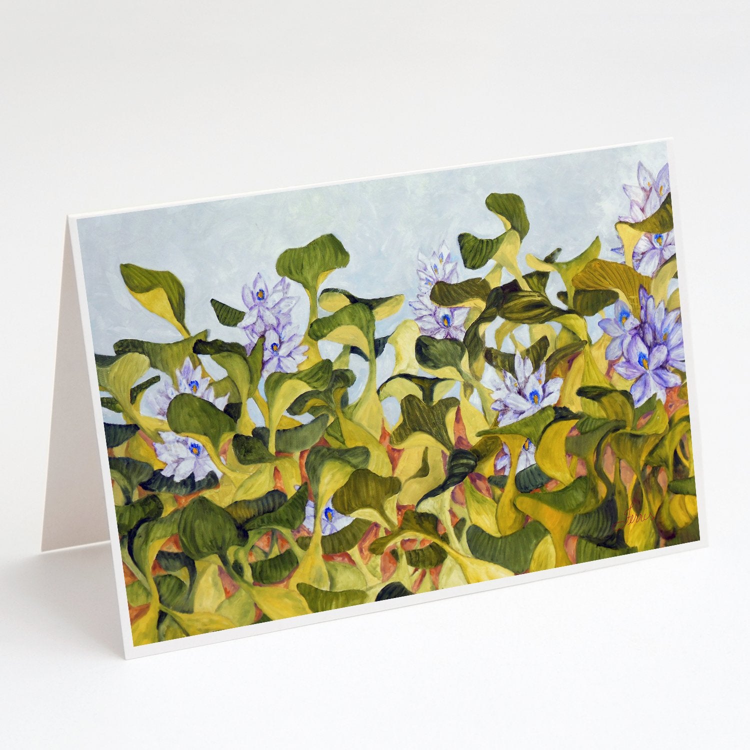 Buy this Water Hyacinth by Ferris Hotard Greeting Cards and Envelopes Pack of 8