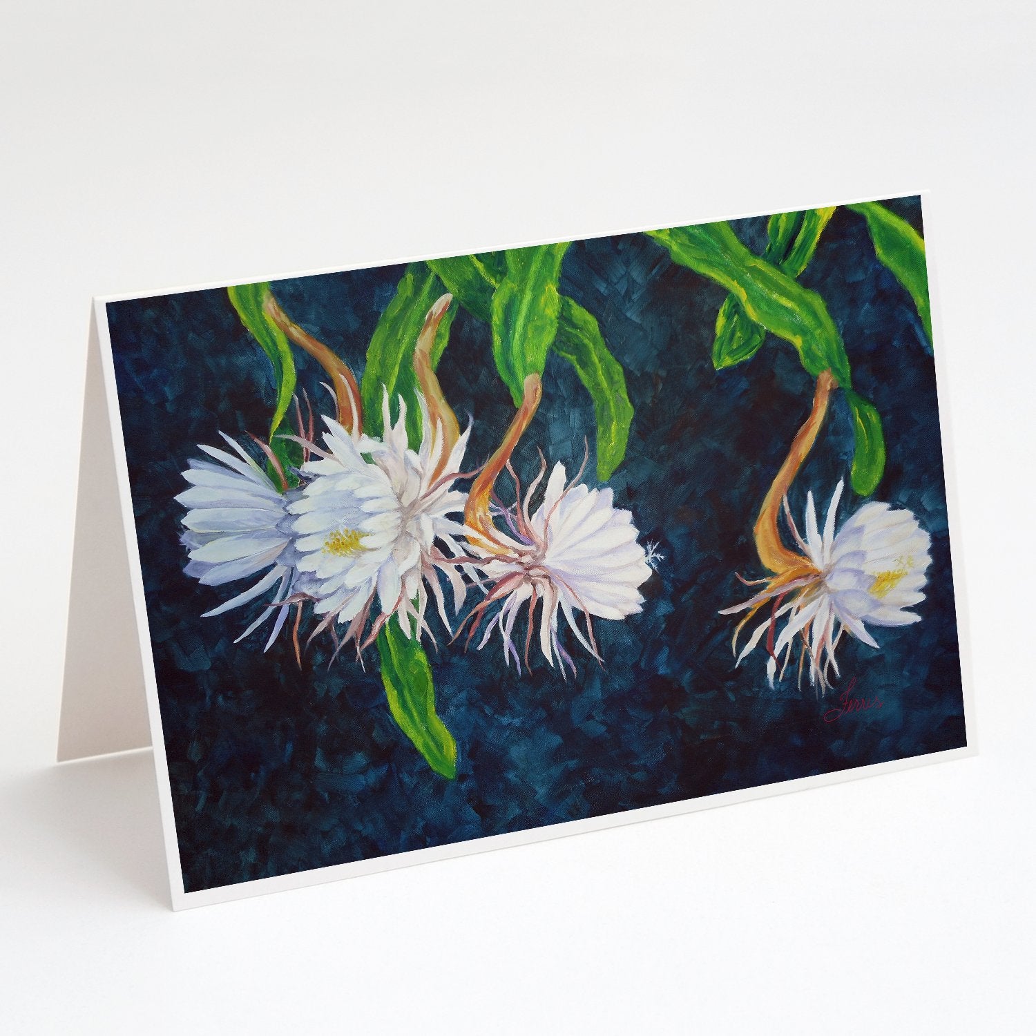 Buy this Night Blooming Cereus by Ferris Hotard Greeting Cards and Envelopes Pack of 8