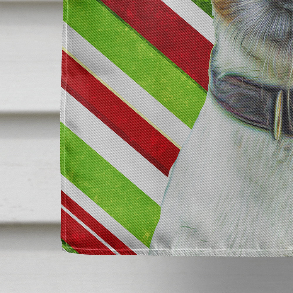 Candy Cane Holiday Christmas Jack Russell Terrier Flag Canvas House Size KJ1169CHF  the-store.com.