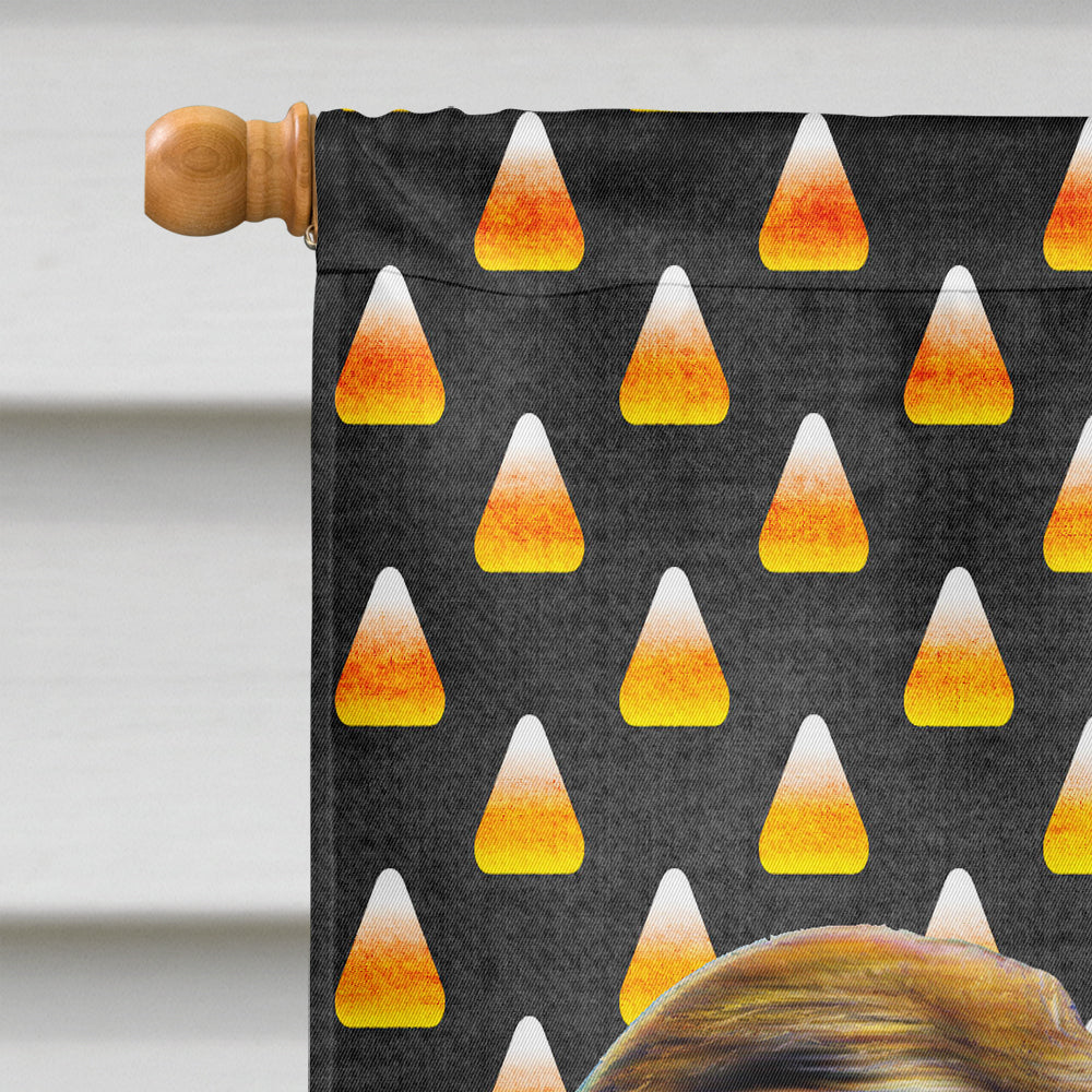 Candy Corn Halloween Jack Russell Terrier Flag Canvas House Size KJ1211CHF  the-store.com.