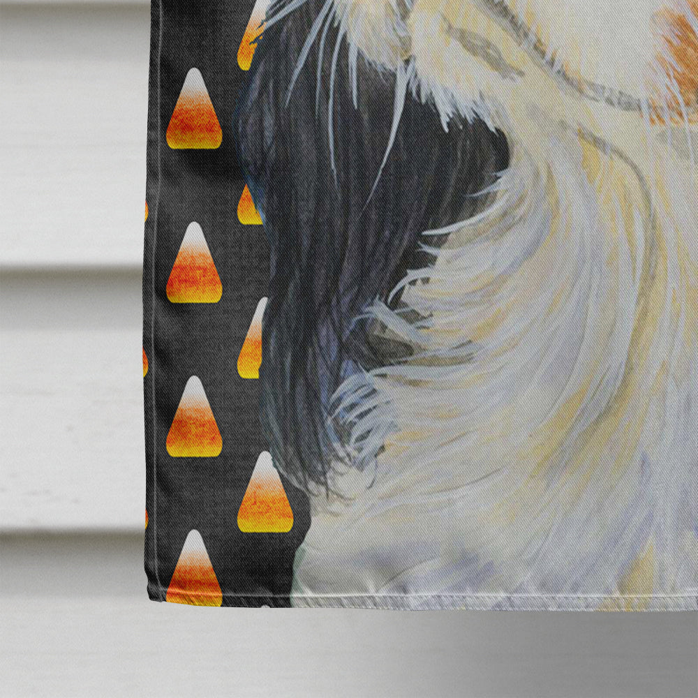 Cavalier Spaniel Tricolor Candy Corn Halloween Portrait Flag Canvas House Size  the-store.com.