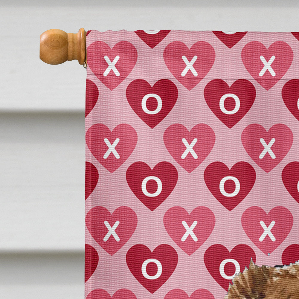 Australian Shepherd Hearts Love and Valentine's Day  Flag Canvas House Size  the-store.com.