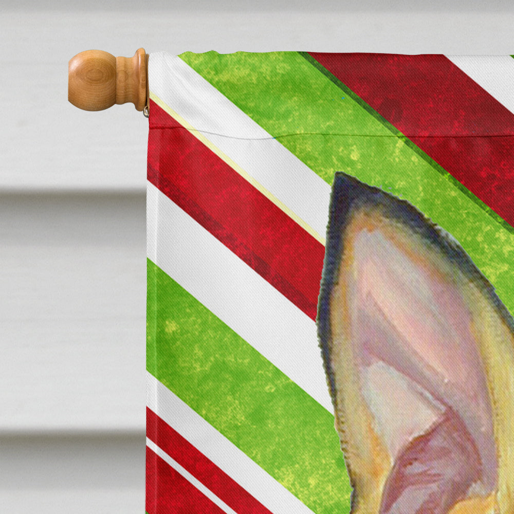 Min Pin Candy Cane Holiday Christmas  Flag Canvas House Size  the-store.com.