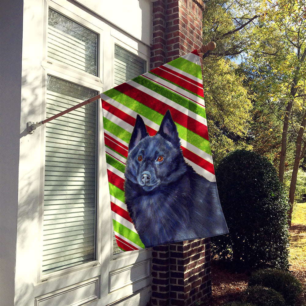 Schipperke Candy Cane Holiday Christmas  Flag Canvas House Size  the-store.com.