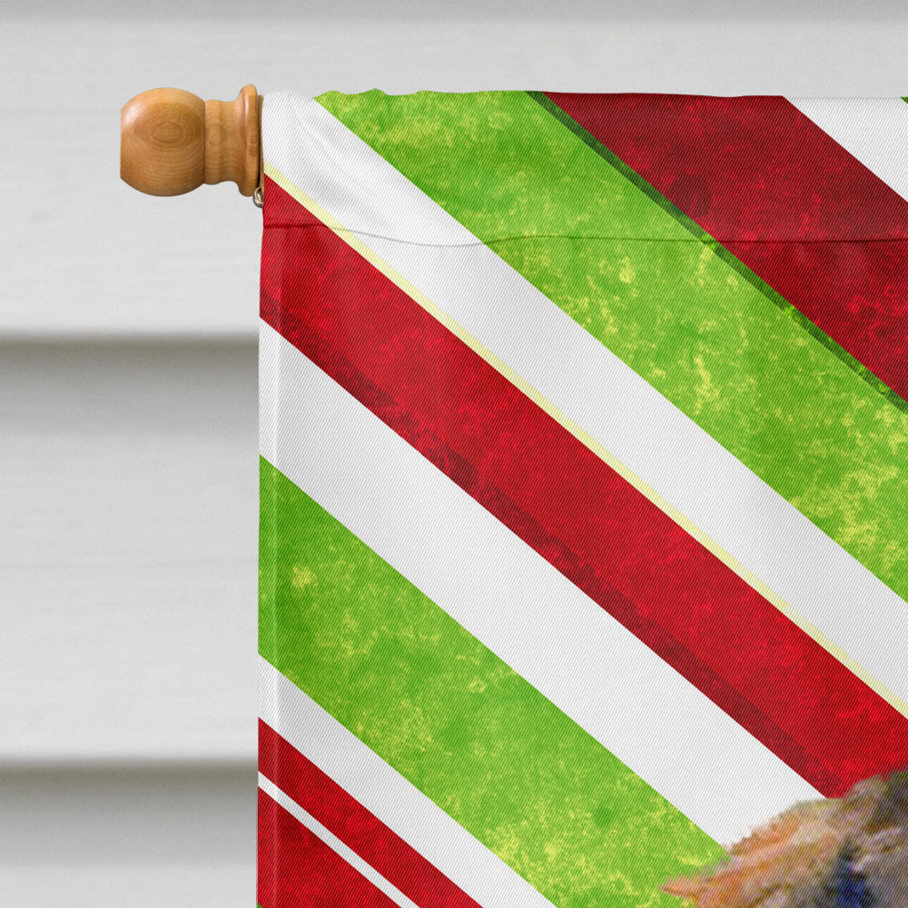 Dachshund Candy Cane Holiday Christmas  Flag Canvas House Size  the-store.com.