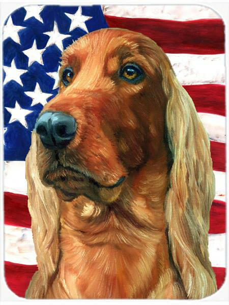 Irish Setter USA Patriotic American Flag Mouse Pad, Hot Pad or Trivet LH9541MP by Caroline's Treasures