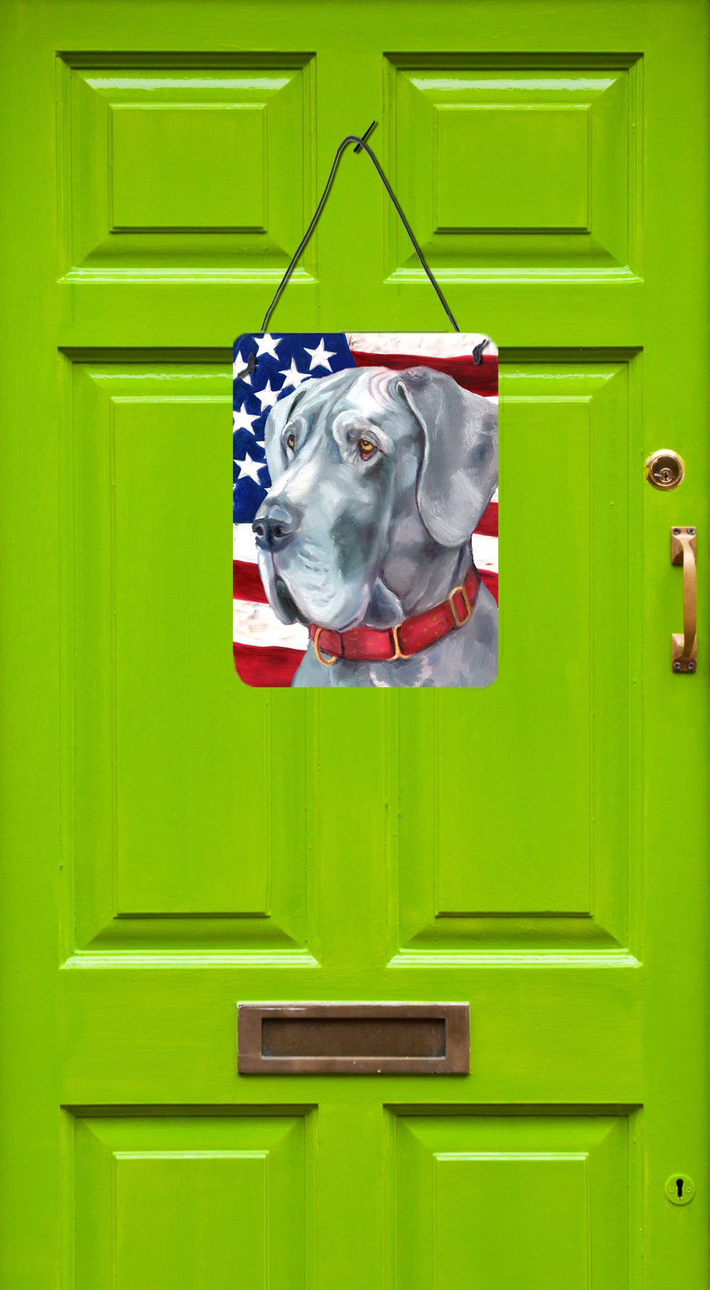 Great Dane USA Patriotic American Flag Wall or Door Hanging Prints LH9542DS1216 by Caroline's Treasures