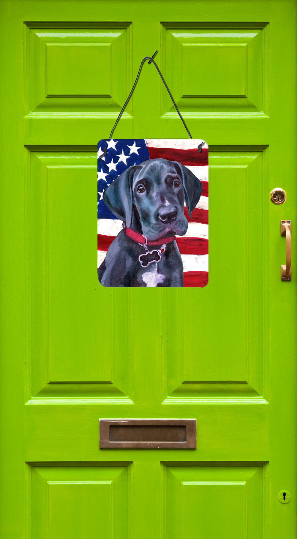 Black Great Dane Puppy USA Patriotic American Flag Wall or Door Hanging Prints LH9544DS1216 by Caroline's Treasures