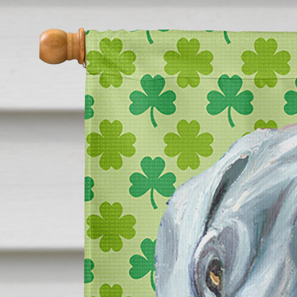 Great Dane St. Patrick's Day Shamrock Flag Canvas House Size LH9570CHF  the-store.com.