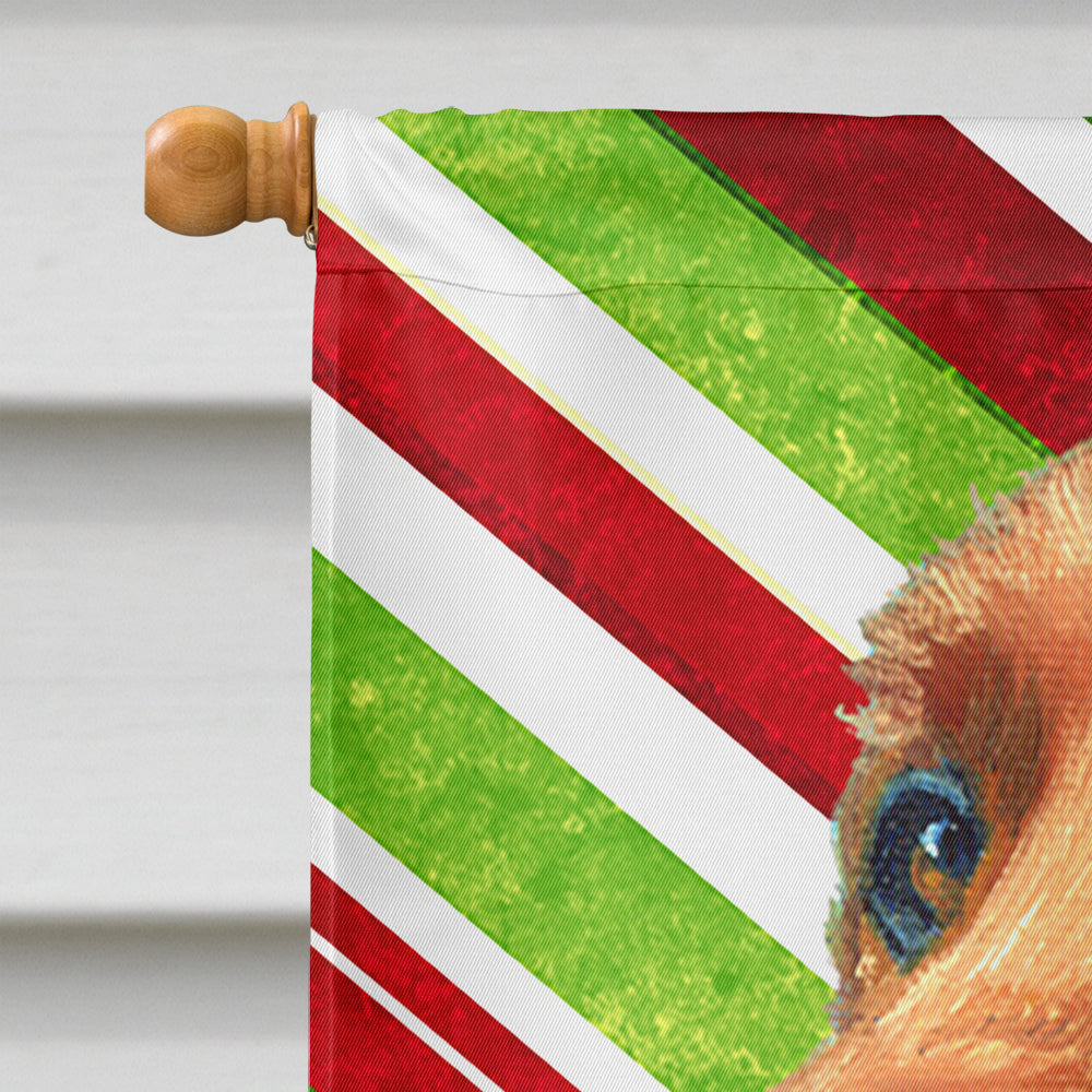 Irish Setter Candy Cane Holiday Christmas Flag Canvas House Size LH9590CHF  the-store.com.