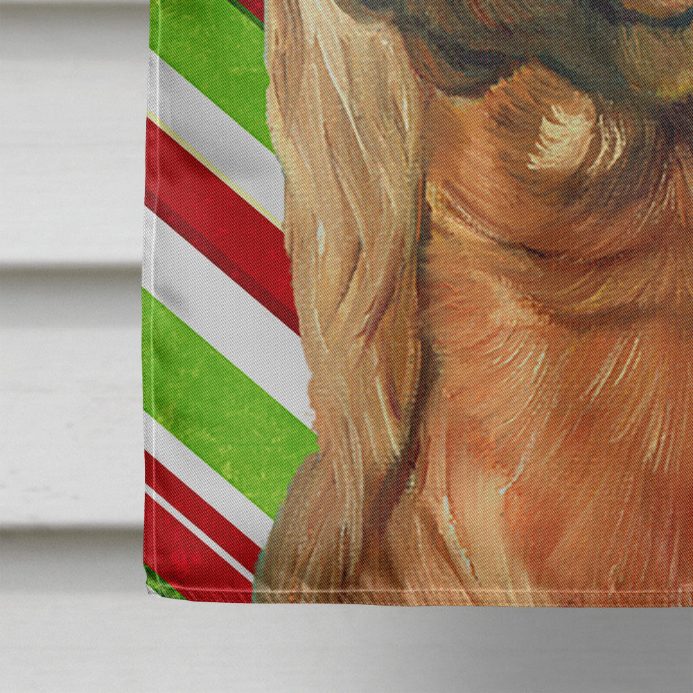 Irish Setter Candy Cane Holiday Christmas Flag Canvas House Size LH9590CHF  the-store.com.