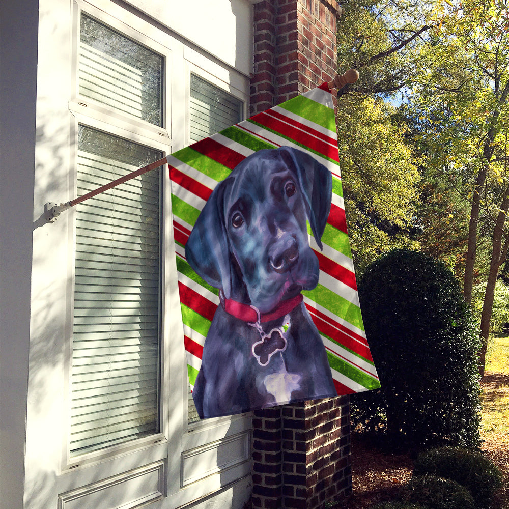 Black Great Dane Puppy Candy Cane Holiday Christmas Flag Canvas House Size LH9593CHF  the-store.com.